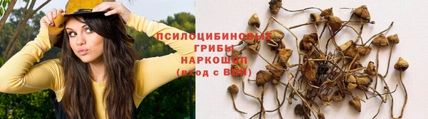 кокс Армянск