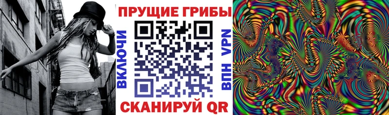 Галлюциногенные грибы Magic Shrooms блэк спрут ссылки Бабушкин